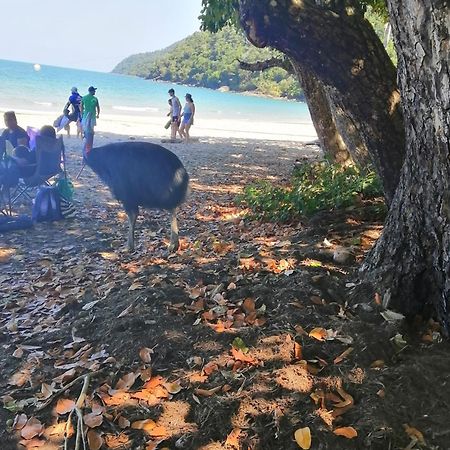 Possum Stay Innisfail Zewnętrze zdjęcie