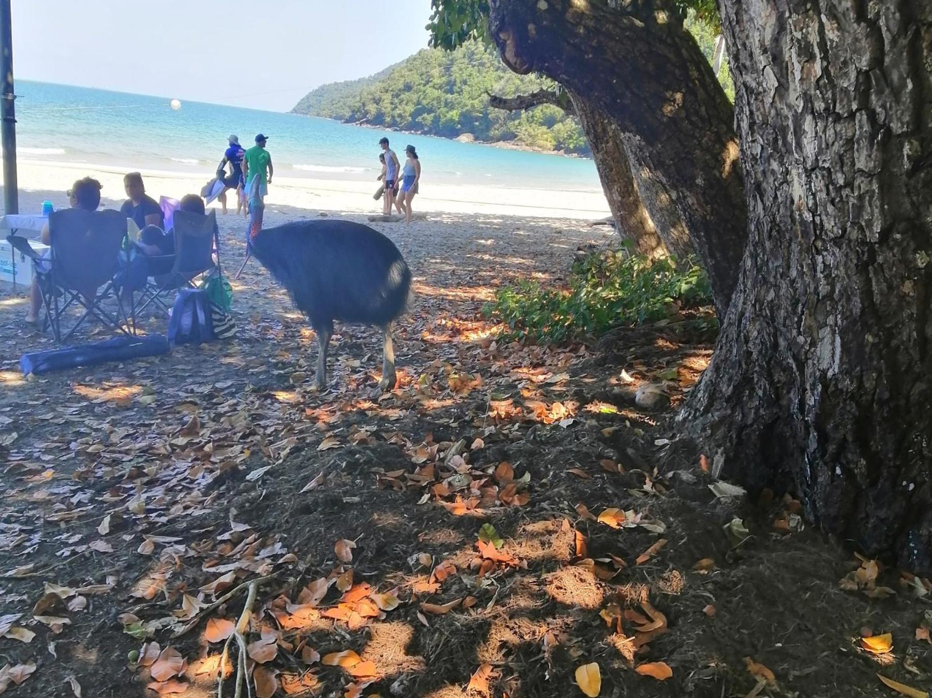 Possum Stay Innisfail Zewnętrze zdjęcie